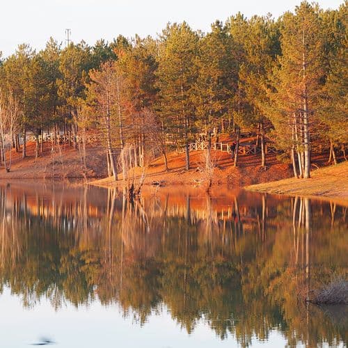 Parc National de Yozgat Camlik