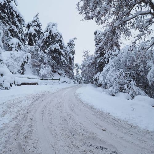Parc National de Yozgat Camlik