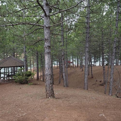 Parc National de Yozgat Camlik