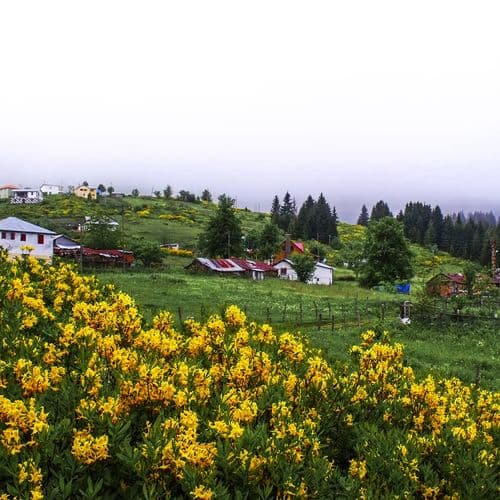 Plateau Rose Çambaşı