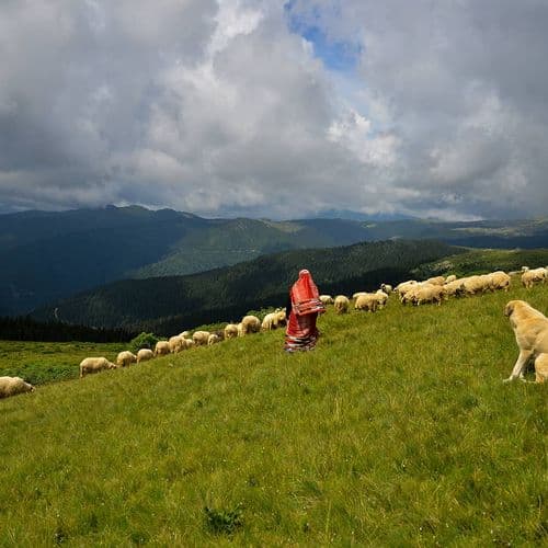 Bektaş Plateau Giresun
