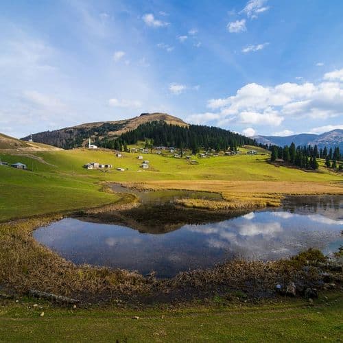 Gölyanı Plateau Giresun