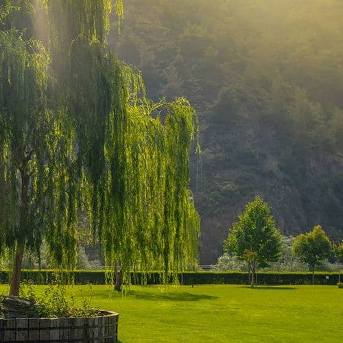 Heaven Valley Bilecik