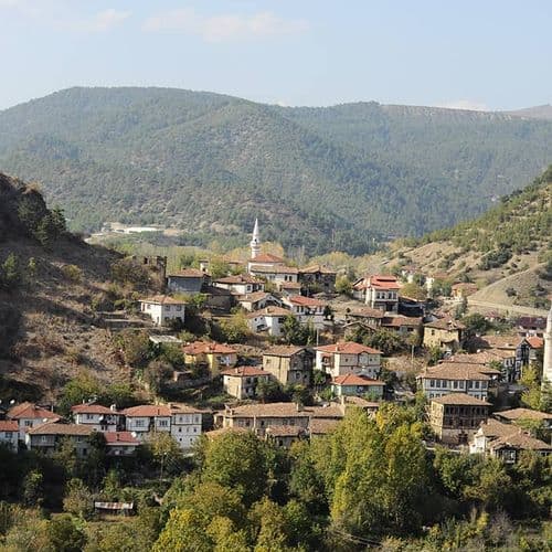 Taraklı Village Sakarya