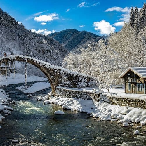 Şenyuva and Cat Bridges