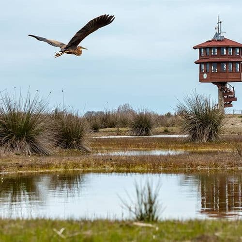 Samsun Bird Sanctuary
