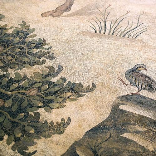 Haleplibahçe- Mosaikmuseum