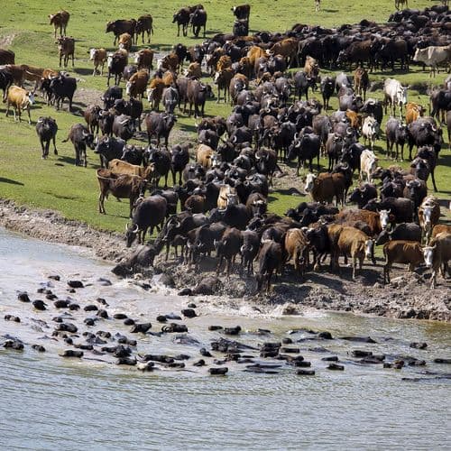 Kaz Lake Wildlife Development Area