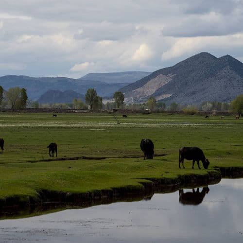 Kaz Lake Wildlife Development Area