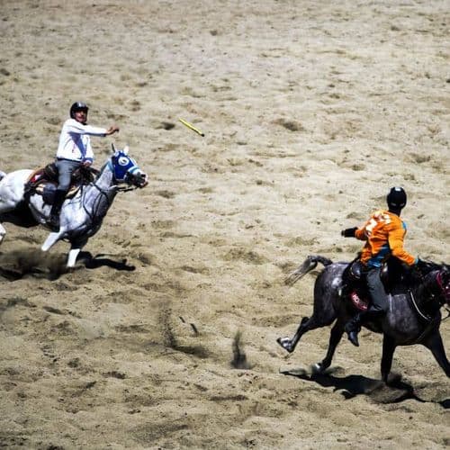 Turkish Jereed Javeline