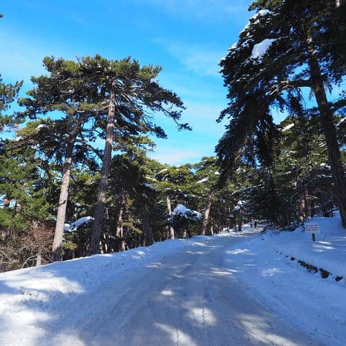 Çamlık National Park