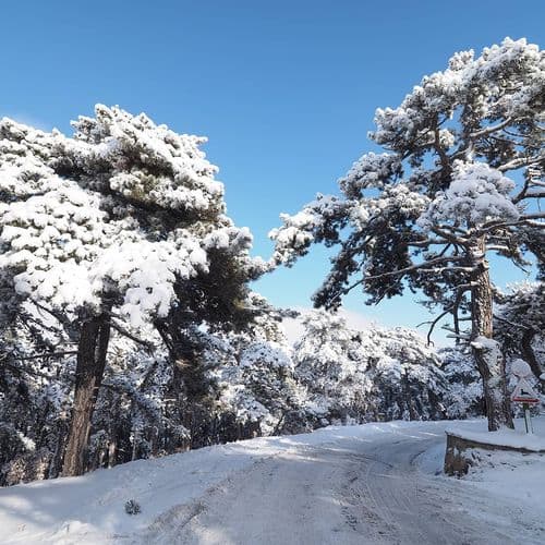 Національний парк Чамлик