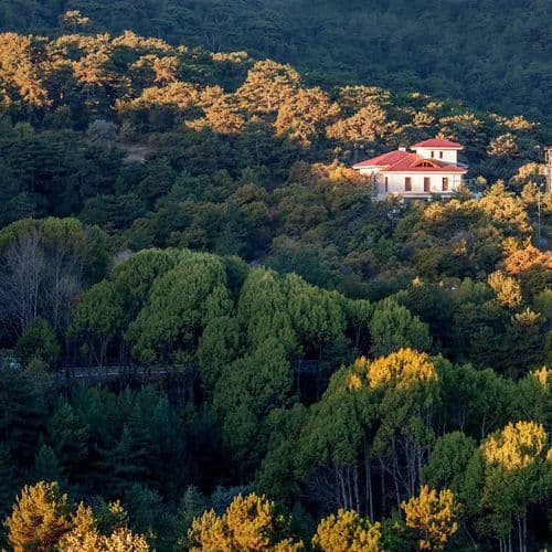 Національний парк Чамлик